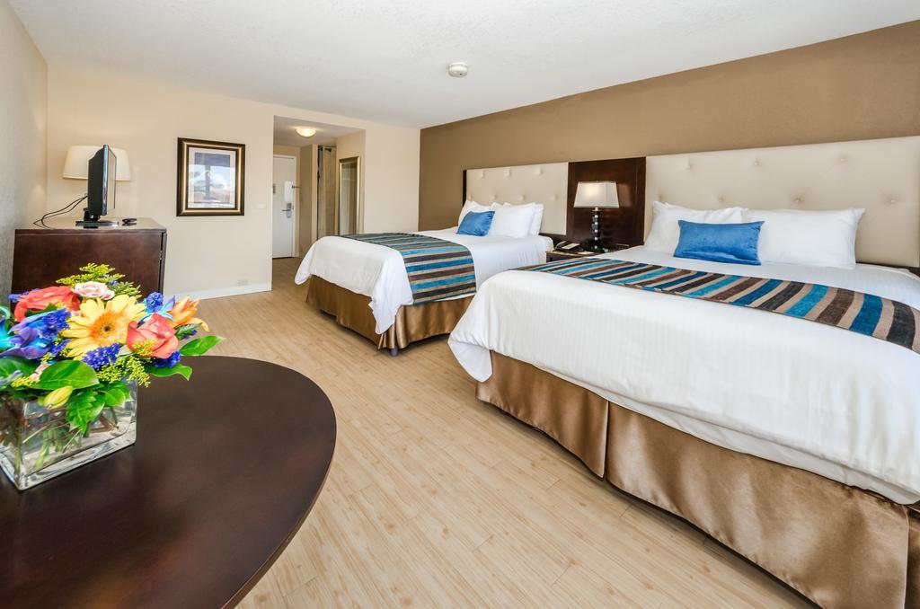 Dreamview Beachfront Hotel & Resort Clearwater Beach Εξωτερικό φωτογραφία